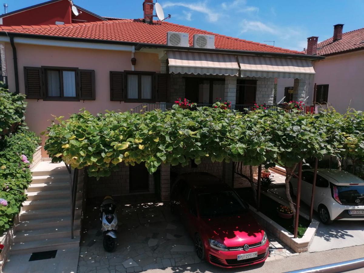 Apartman Bruna Novigrad Istria المظهر الخارجي الصورة