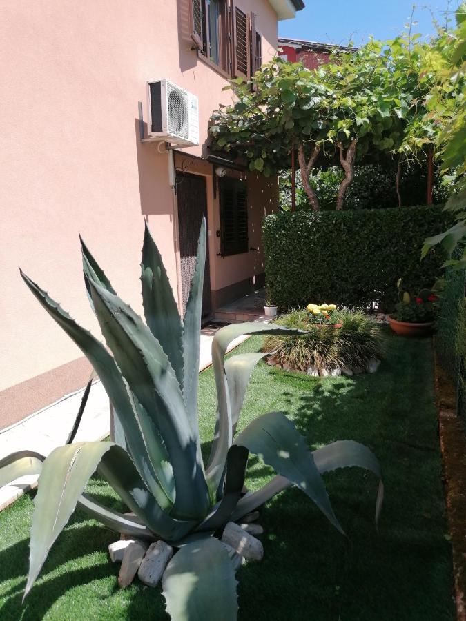 Apartman Bruna Novigrad Istria المظهر الخارجي الصورة